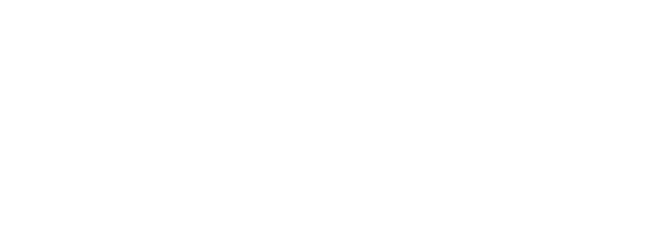 Selenium Estudio